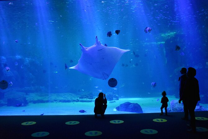 Entrance Ticket Nausicaa, the Biggest Aquarium in Europe - Common Questions