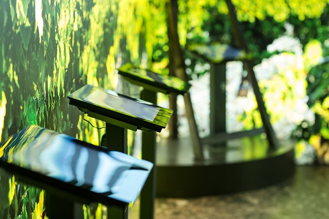 Entrance Ticket to the Brotte Wine Museum With Tasting of 3 Wines - Wine Tasting Experience