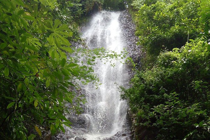 Entrance Ticket to Viva Brotas Ecopark With Lunch - Ticket Pricing Details