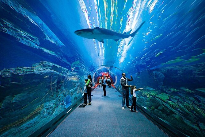 Entrance to Dubai Aquarium and Underwater Zoo - Pricing and Booking
