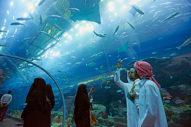 Entrance to Dubai Aquarium and Underwater Zoo - Inclusions