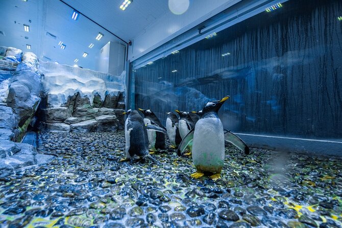 Entrance to Dubai Aquarium and Underwater Zoo - What To Expect