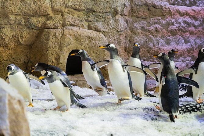 Entrance to Dubai Aquarium and Underwater Zoo - Tips for a Great Visit