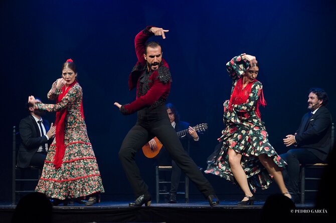 Entrance to the Flamenco Show at Teatro Flamenco Málaga - Ticket Pricing and Options
