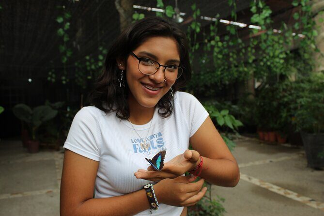 Entrance to the Morpho Butterfly and Liquor Tasting - Good To Know
