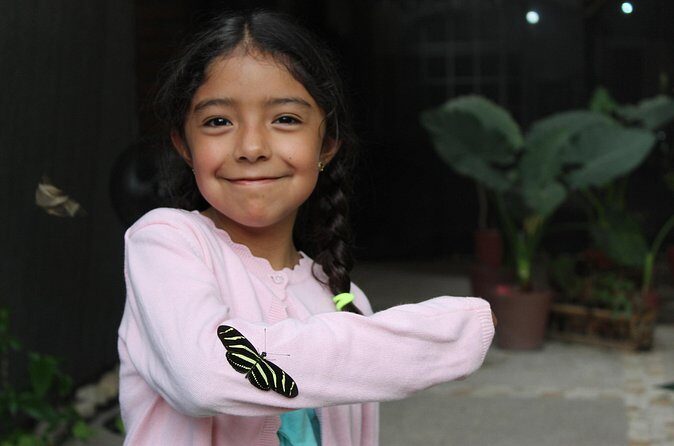 Entrance to the Morpho Butterfly and Liquor Tasting - Practical Tips for Travelers