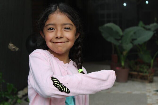 Entrance to the Morpho Butterfly and Liquor Tasting - Who Is This Tour Best For?