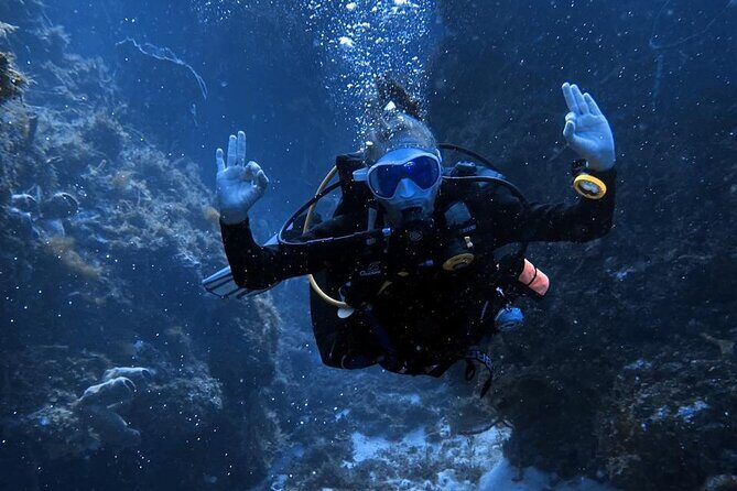 Entry Level PADI Course Discovery Scuba Dive - Duration and Group Size