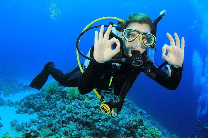 Entry Level PADI Course Discovery Scuba Dive - Prime Location