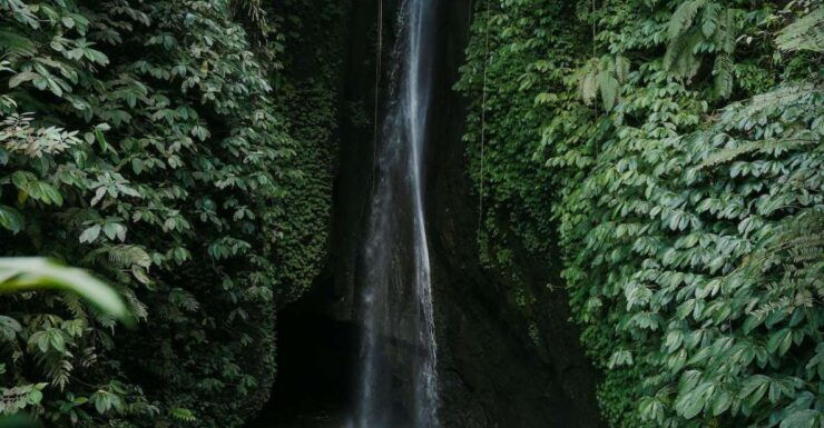 Entry Ticket Include: Bratan, Handara, Jatiluwih, Leke-Leke - Tour Highlights
