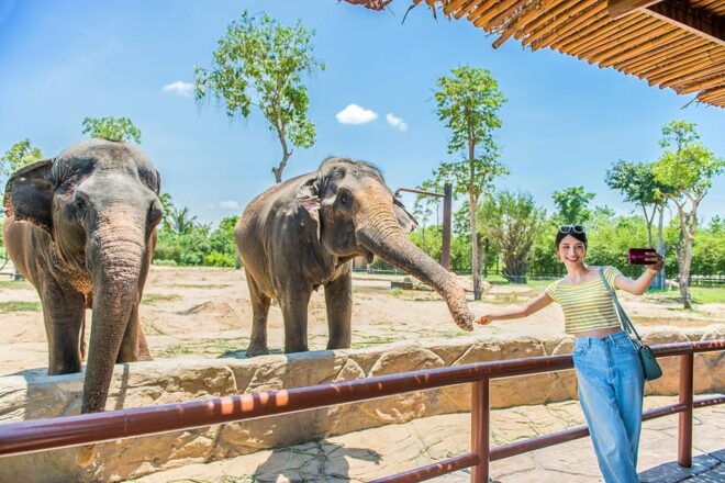 Entry Ticket: VinWonder South Hoi An - Park Features Overview