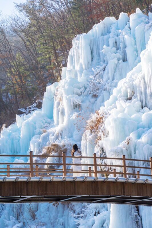Eobi Ice Valley, Light Festival, Alpaca World, Nami Island & More - Garden of the Morning Calm glows after sunset