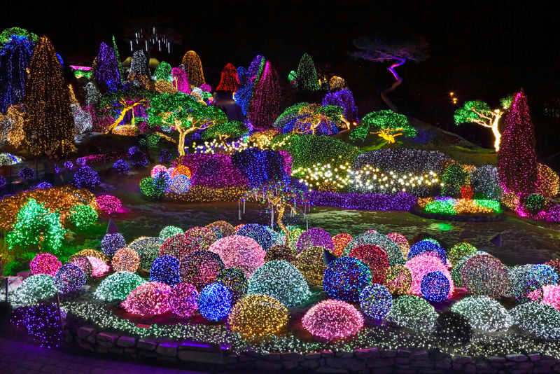 Eobi Ice Valley, Light Festival, Alpaca World, Nami Island & More - The guide and bus make the logistics work