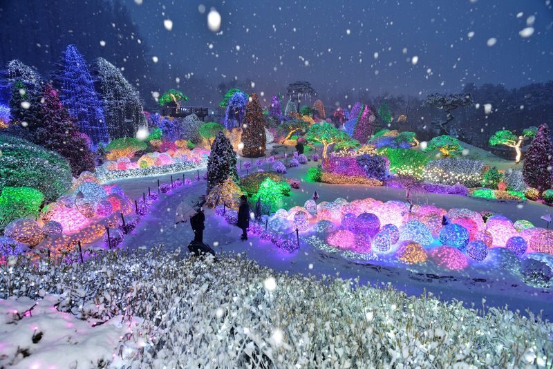 Eobi Ice Valley, Light Festival, Alpaca World, Nami Island & More - Is the price worth it?