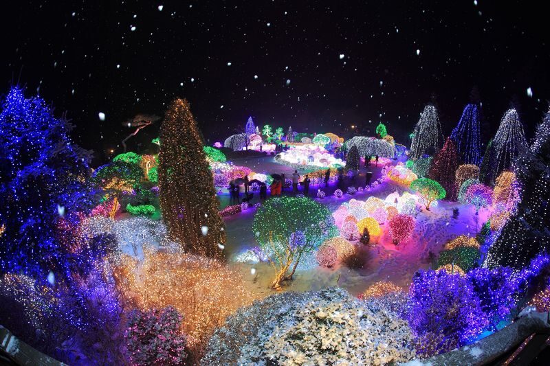 Eobi Ice Valley, Light Festival, Alpaca World, Nami Island & More - Who should book this day trip?