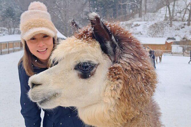 Eobi Ice Valley & Nami Island & Alpaca World & Morning Calm - Good To Know