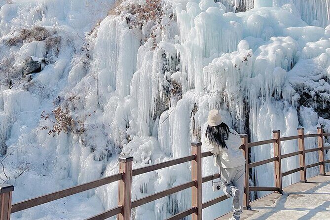 Eobi Ice Valley & Nami Island & Alpaca World & Morning Calm - Final Thoughts: Is This Tour Right for You?