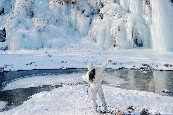 Eobi Ice Valley & Nami Island & Alpaca World & Morning Calm - Exploring the Itinerary in Detail