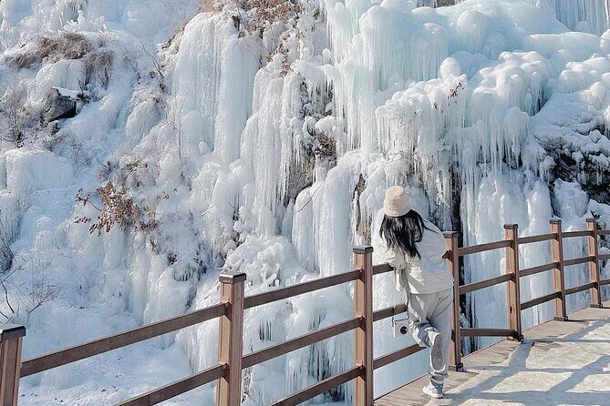 Eobi Ice Valley Nami Island and Alpaca World Tour from Seoul - FAQs