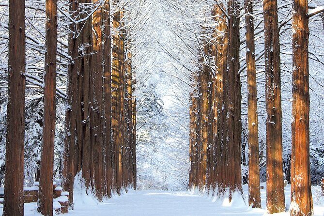 Eobi Ice Valley Nami Island and Alpaca World Tour from Seoul - Practical Insights and Value