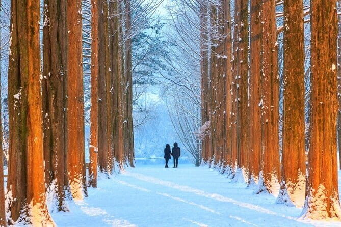 Eobi Ice Valley Nami Island and Gangchon Rail Park Seoul - Good To Know