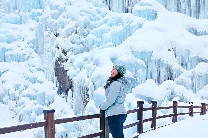 Eobi Ice Valley, Nami Island and Petite France tour in Seoul - Final Thoughts