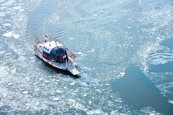 Eobi Ice Valley, Nami Island and Petite France tour in Seoul - FAQ