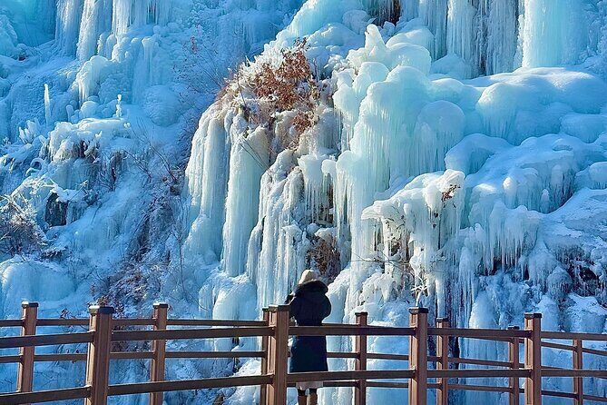 Eobi Ice Valley, Nami Island and Petite France tour in Seoul - Good To Know