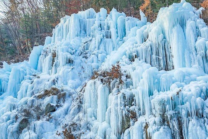 Eobi Ice Valley, Nami Island and Petite France tour in Seoul - The Value for Price