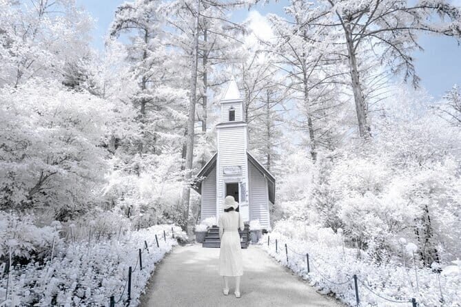 Eobi Ice Valley, Nami Island, Morning Calm and Rail Bike Seoul - Good To Know