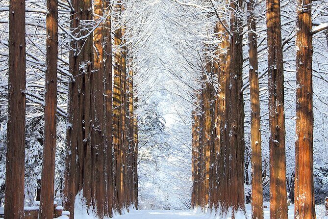 Eobi Ice Valley, Nami Island, Petite France and Morning Calm Tour - FAQs