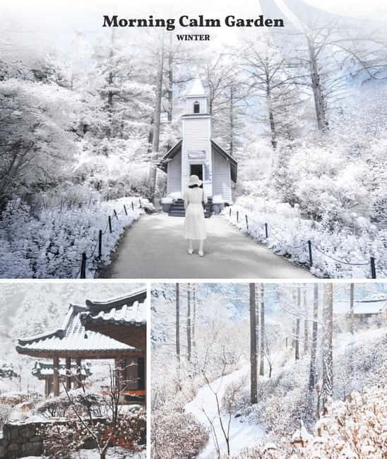 Eobi Ice Valley & Nami & Petite (+ Light Festival, Railbike) - Final Thoughts: Who Will Love This Tour?