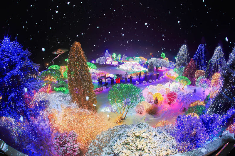 Eobi Ice Valley/ Snow Sledding/ Lighting Festival/ Strawberry/ Nami - Is the price worth it?