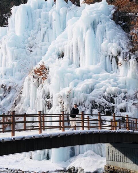 Eobi Ice Valley&Hwacheon Ice Fishing & Garden of Morningcalm - Best Time to Visit