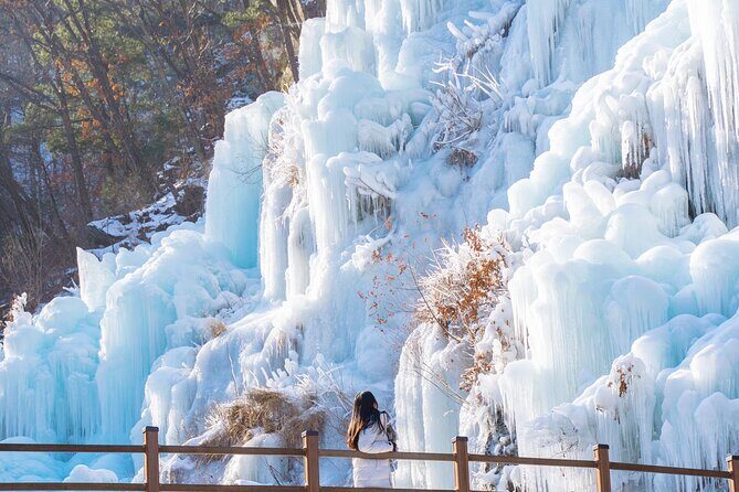 Eobi Valley, Alpaca World, Nami Island, Railbike/Garden fr Seoul - Exploring Seoul’s Enchanting Outskirts: Eobi Valley, Alpaca World, Nami Island & More