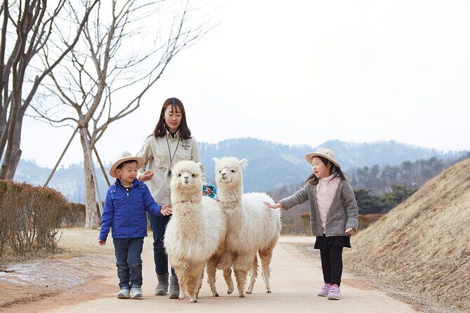 Eobi Valley, Alpaca World, Nami Island, Railbike/Garden fr Seoul - FAQ