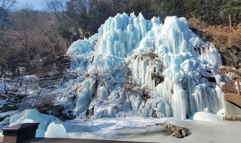 Eobi Valley & Fruit Picking & Hwacheon Sancheoneo Ice Fishing Tour - A full day out from Seoul