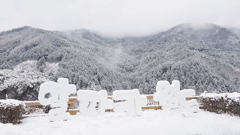 Eobi Valley & Fruit Picking & Hwacheon Sancheoneo Ice Fishing Tour - Eobi Valley or Jaraseom, depending on the season
