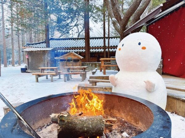Eobi Valley, Nami Island, Rail Bike, Optional Korean Garden - Booking and Cancellation Policy