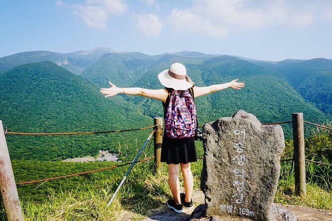 Eoseungsaengak Trail, Osulloc, Oedolgae & Cheonjiyeon Day Tour - The Itinerary in Detail: What to Expect