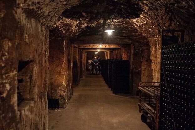 Epernay and Family Growers Afternoon Tour from Reims - From Reims to the Champagne countryside