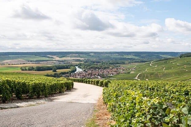 Epernay and Family Growers Afternoon Tour from Reims - Épernay’s grand avenue and the smaller growers