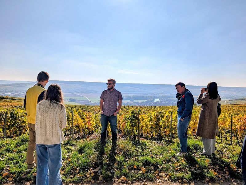 Epernay and Family Growers Afternoon Tour from Reims - Vineyard views and a stop in Hautvillers
