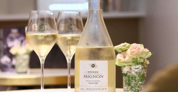 Epernay: Champagne Tasting and Master Classes - Experience Highlights