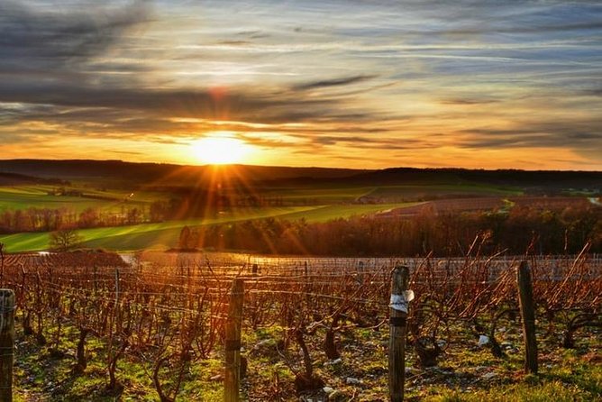 Epernay (World Capital Of Champagne) - Private Trip - Overview of Epernay Private Trip