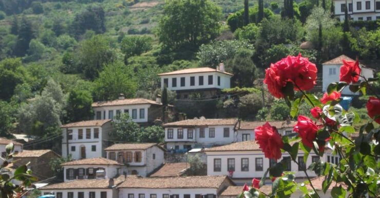 Ephesus and Sirince Tour From Izmir / Kusadasi - Highlights and Experience
