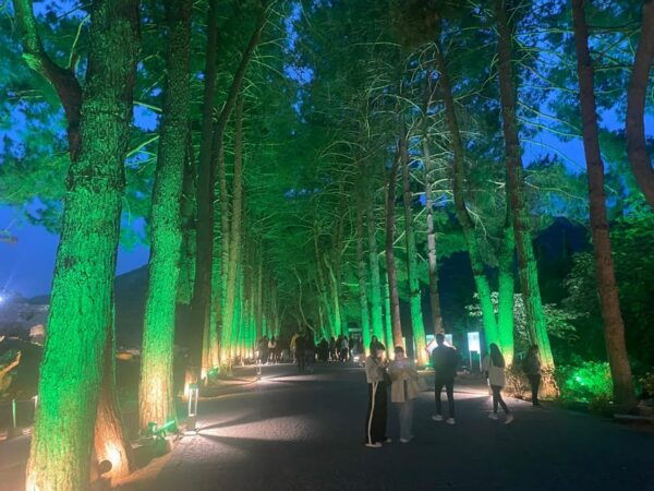 Ephesus by Night Private Tour - Group Size and Pricing