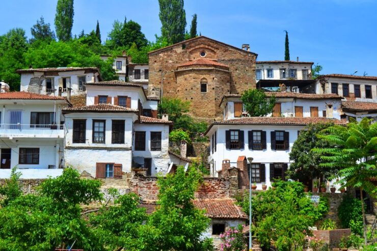 Ephesus: Full-Day Tour With Wine Tasting in Sirince Village - Activity Details