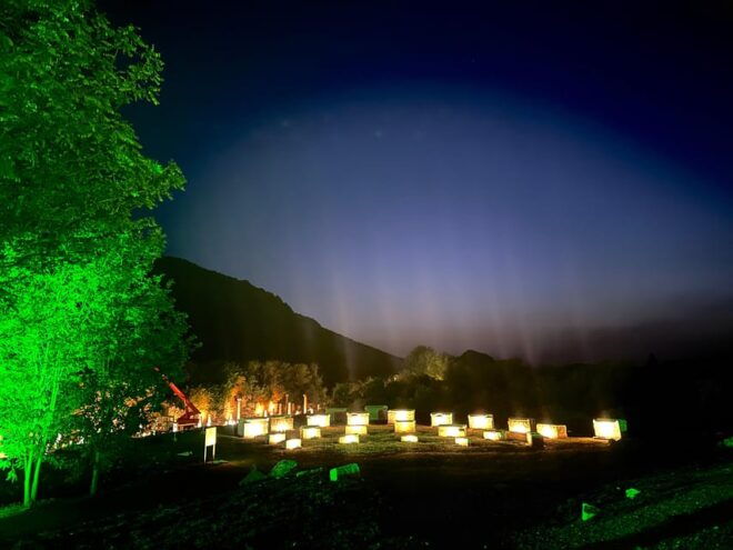 Ephesus Night Tour - Ephesus Experience Museum Tour