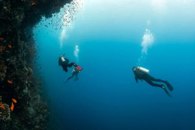 Epic Adventure to Blue Hole & Dahab City From Sharm El-Sheikh - Transportation Options